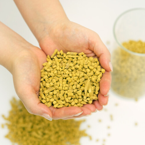 金型で成形が出来﻿るリサイクル可能な木材由来のペレット | CXP