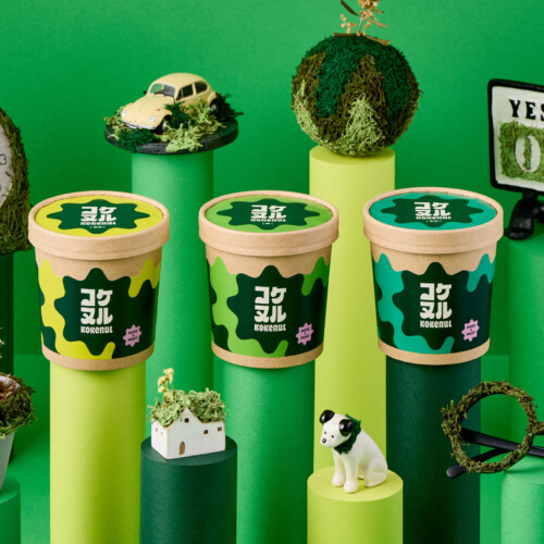 朽木苔 塗った後もCO2を吸収する、コケの塗料 | コケヌル | SENSE-Laboratory